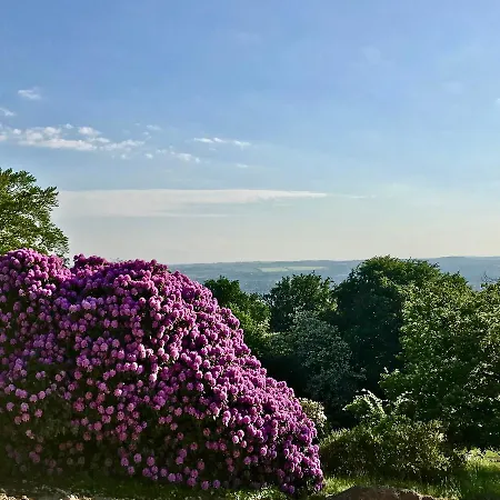 Ferienwohnung-Natur-Und-Kunst *