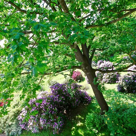 Ferienwohnung-Natur-Und-Kunst 아파트 드레스덴