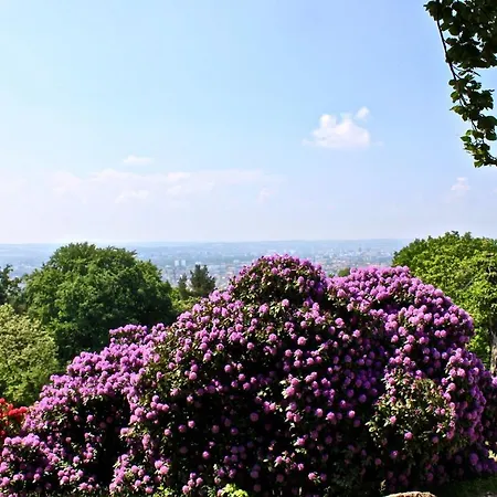 Ferienwohnung-Natur-Und-Kunst 아파트 *