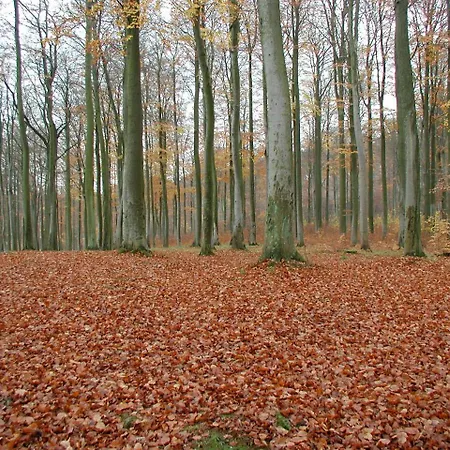 아파트 Ferienwohnung-Natur-Und-Kunst 드레스덴