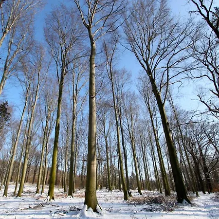 Ferienwohnung-Natur-Und-Kunst