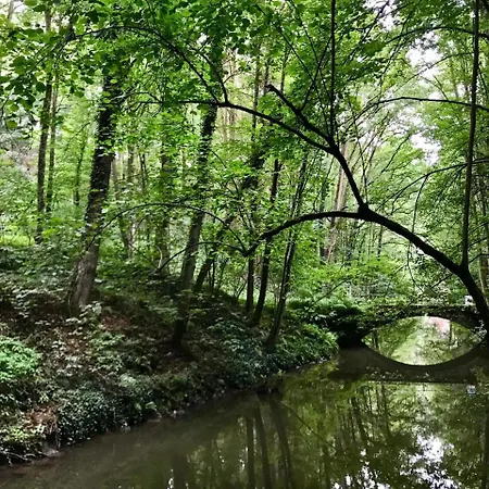 Ferienwohnung-Natur-Und-Kunst 아파트